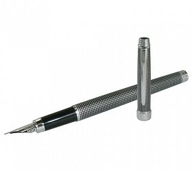 Ручка перьевая Pen Pro гравировка/серебро